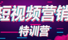短视频训练营,打造爆款短视频的秘籍攻略